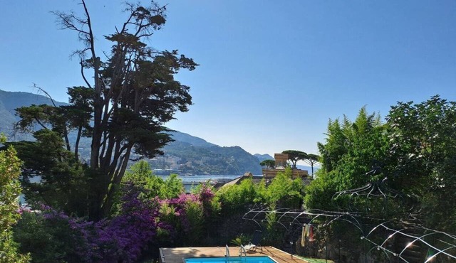 Villa with ocean views, large garden, close to the harbor, downtown, and the beach