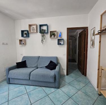 Znc Holiday House