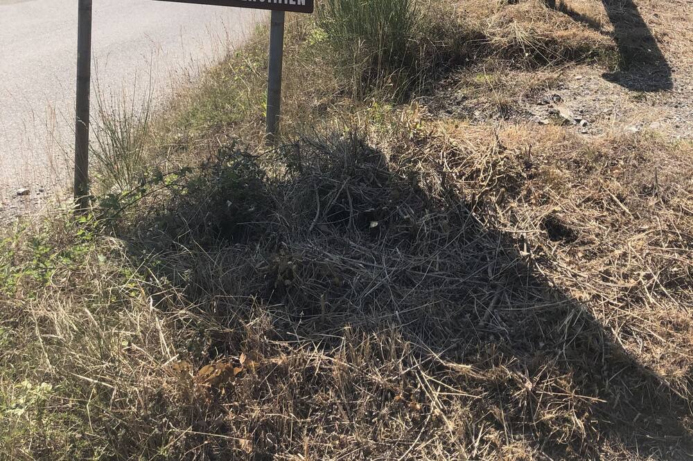 Photo of Outdoor in Podenzana