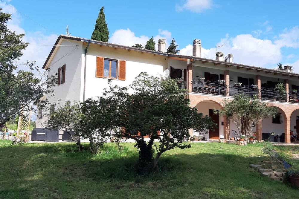 Photo of Outdoor in Torgiano
