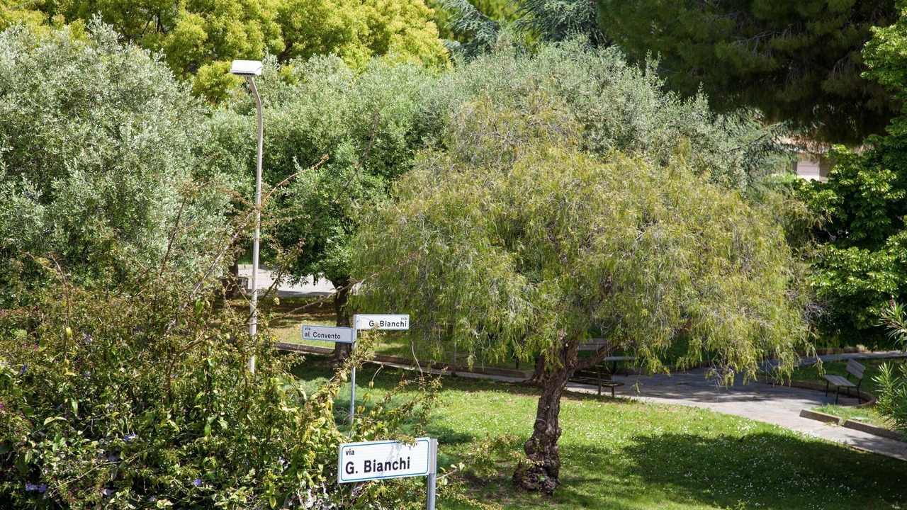 Photo of Outdoor in Cervo