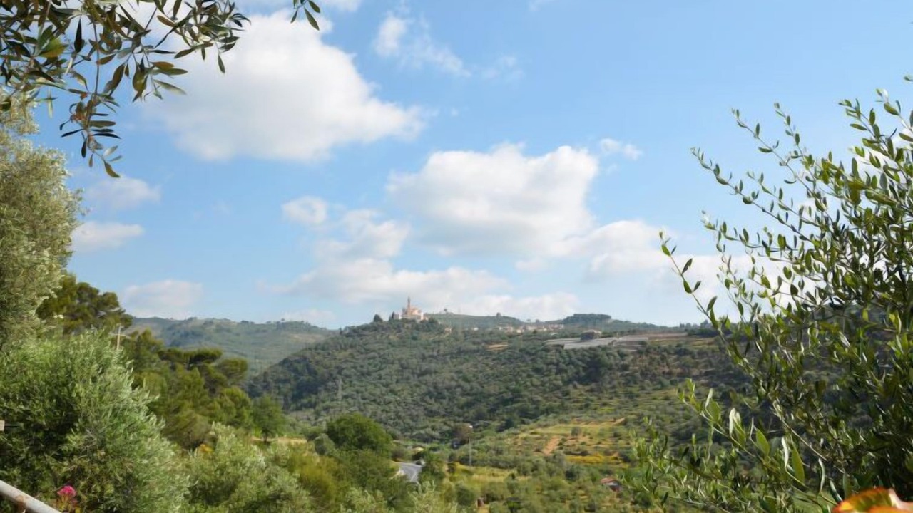 Photo of Outdoor in Cipressa