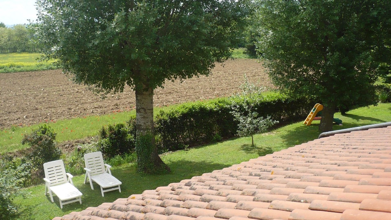 Photo of Outdoor in Reggello
