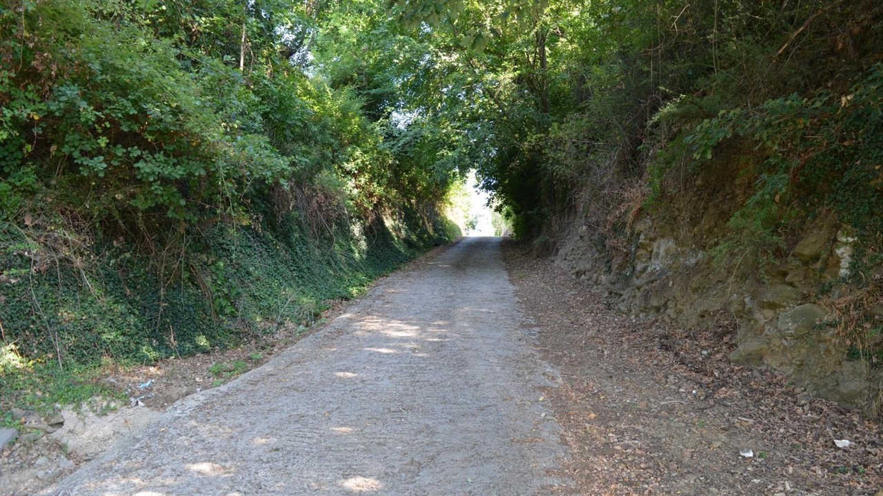 Photo of Outdoor in Terranuova Bracciolini