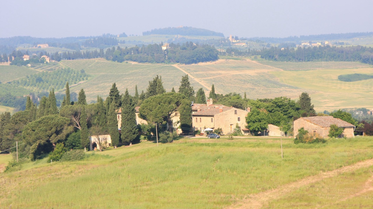 Photo of Others in Scandicci