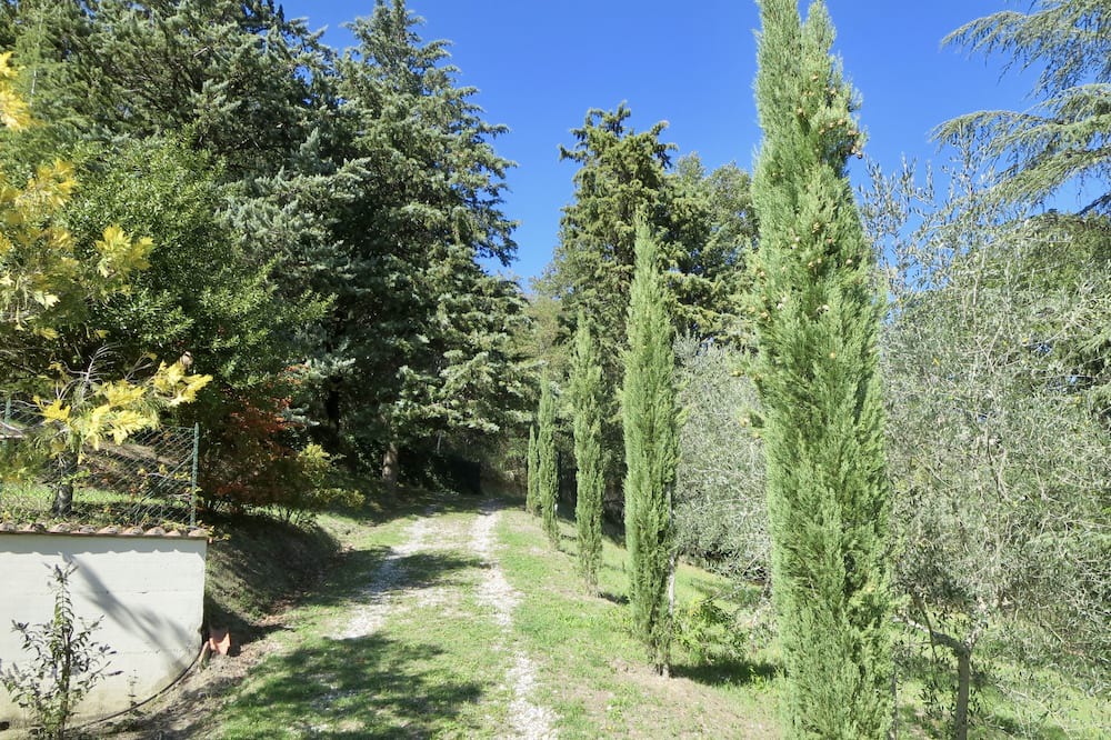 Photo of Others in Celle sul Rigo