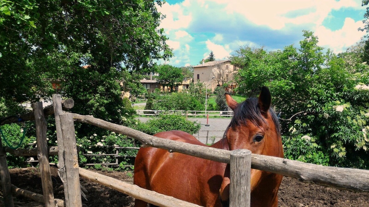 Photo of Outdoor in Acquapendente