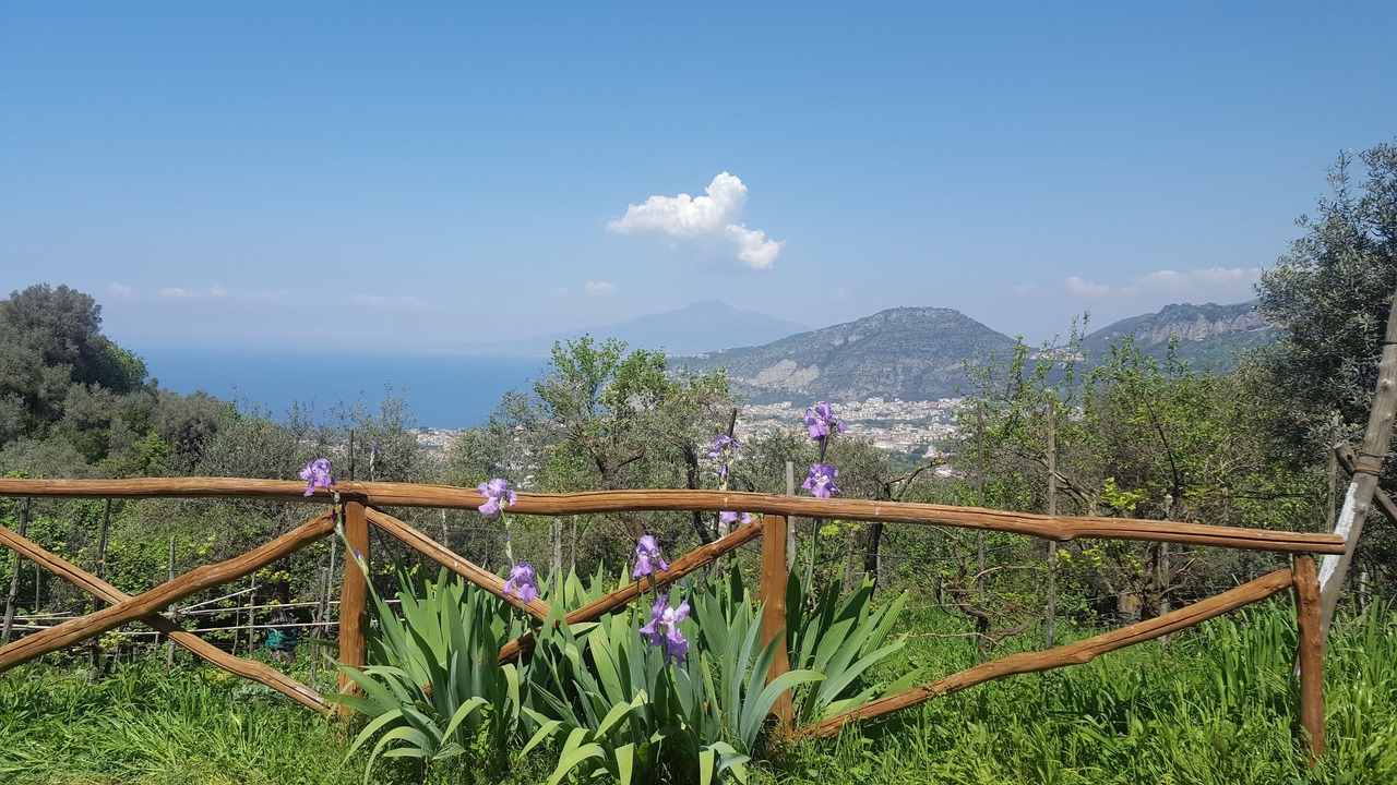 Photo of Others in Colli di Fontanelle