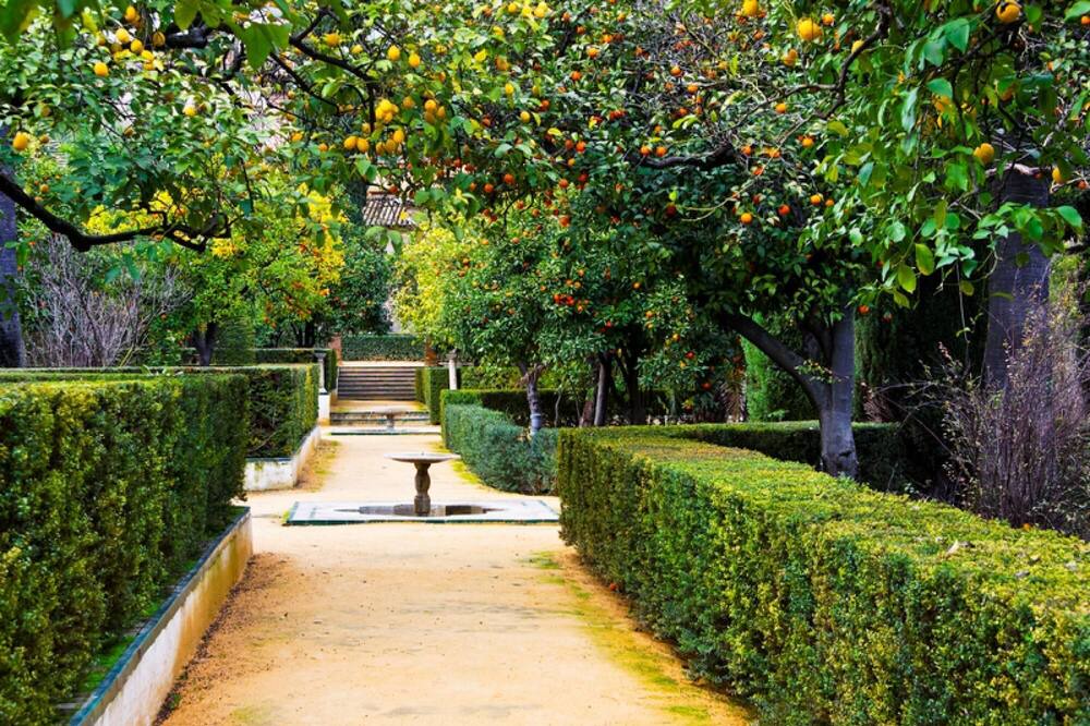 Photo of Outdoor in Marina del Cantone