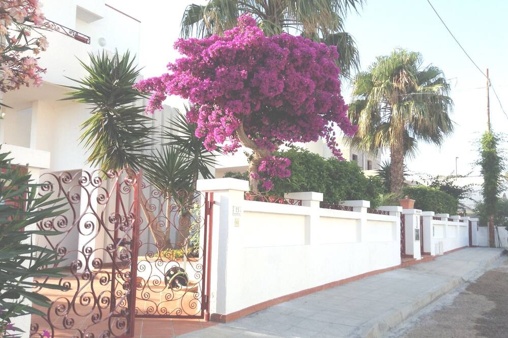 Photo of Outdoor in Lido Marini