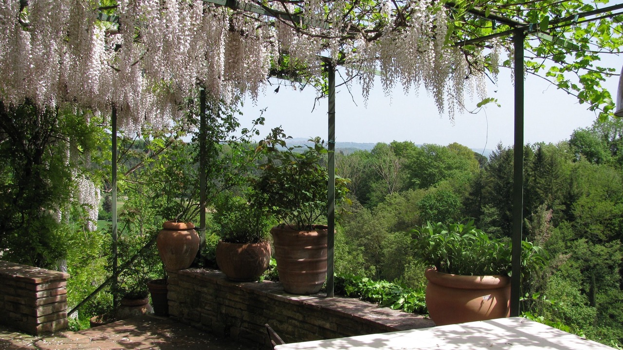Photo of Outdoor in Cetona