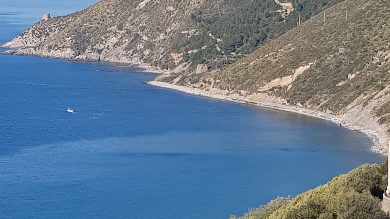 Photo of Others in Marina Lido