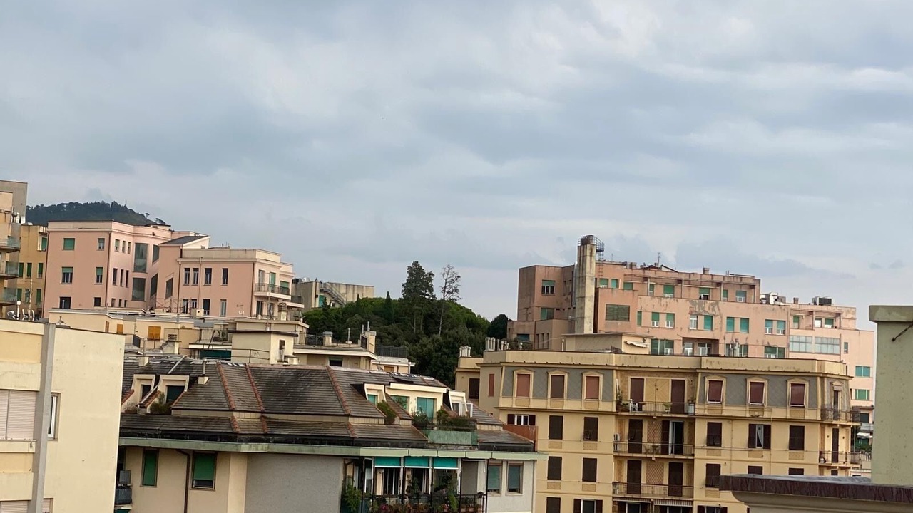 Photo of Others in Sturla