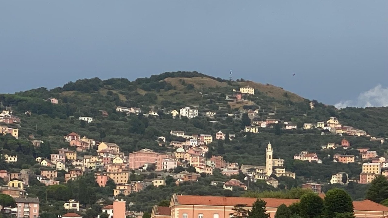 Photo of Others in Sturla