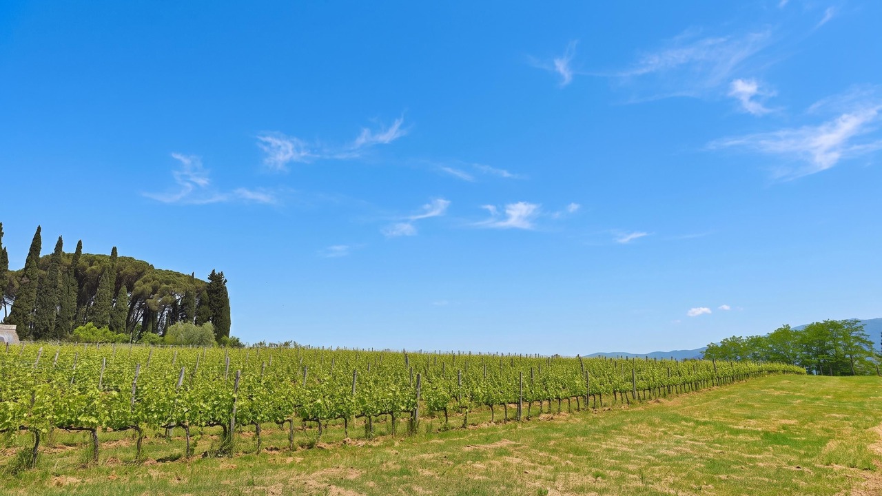 Photo of Outdoor in Rignano sull'Arno