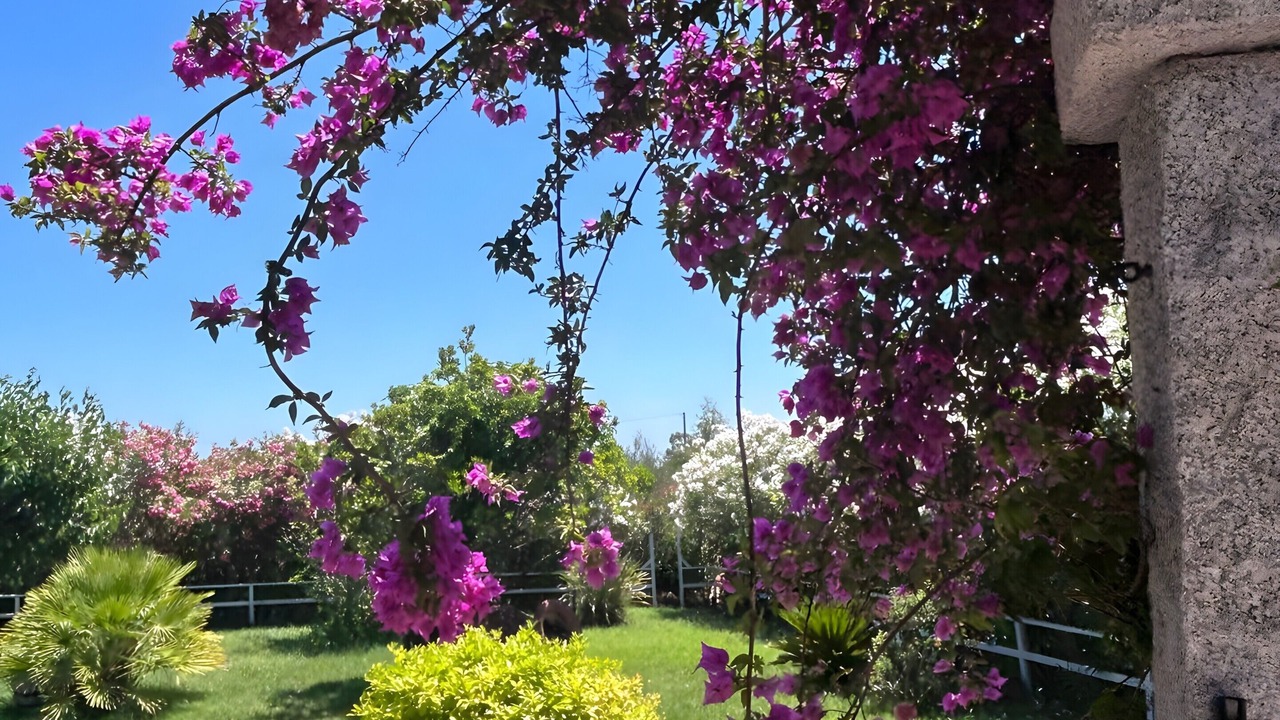 Photo of Outdoor in Orosei