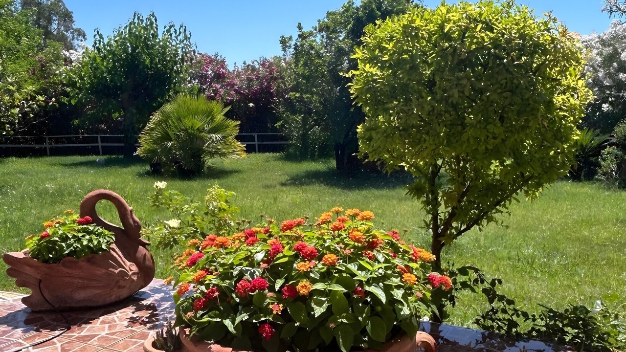 Photo of Outdoor in Orosei