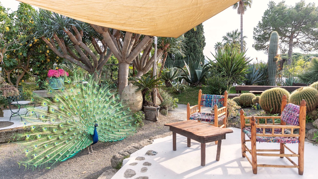 Photo of Patio Balcony in Forio