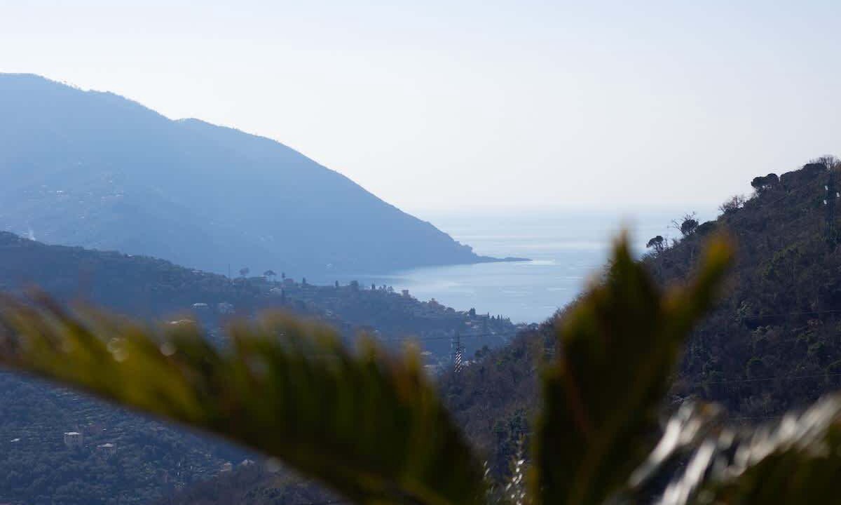 Photo of Others in Recco