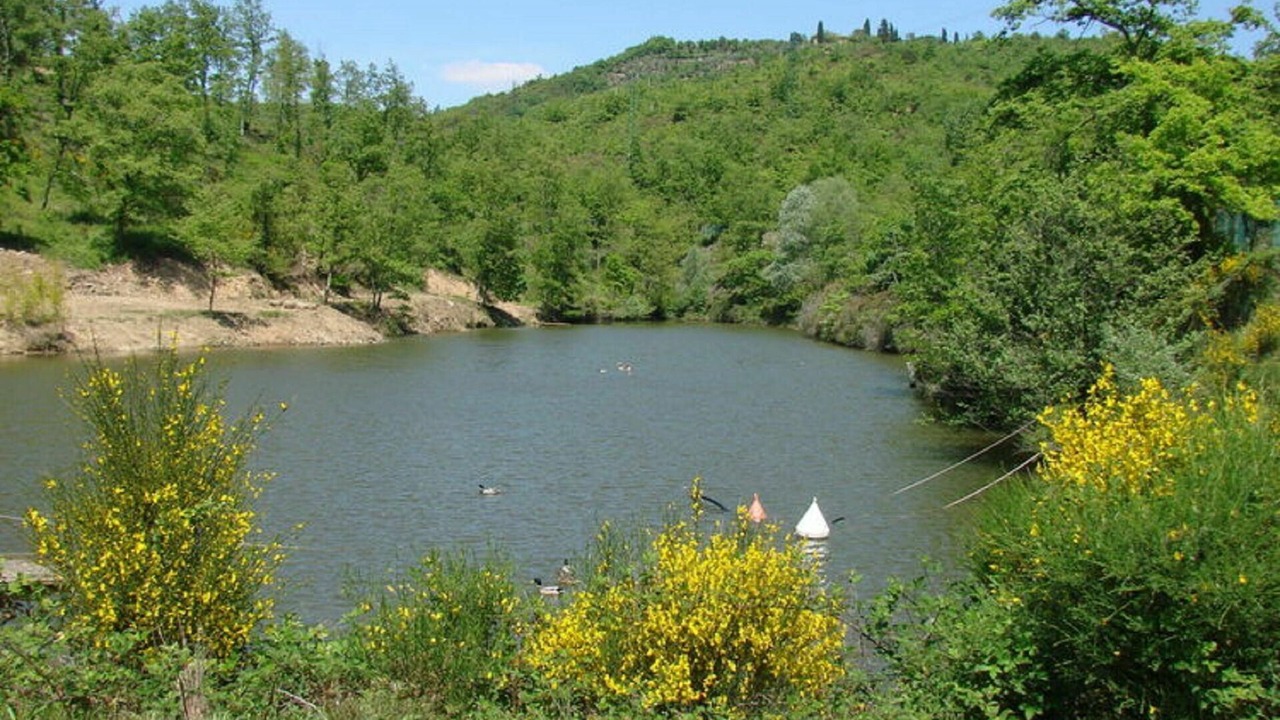 Photo of Others in Civitella in Val di Chiana