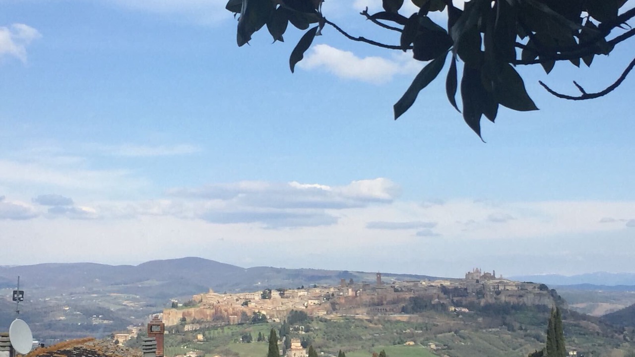 Photo of Others in Castel Viscardo