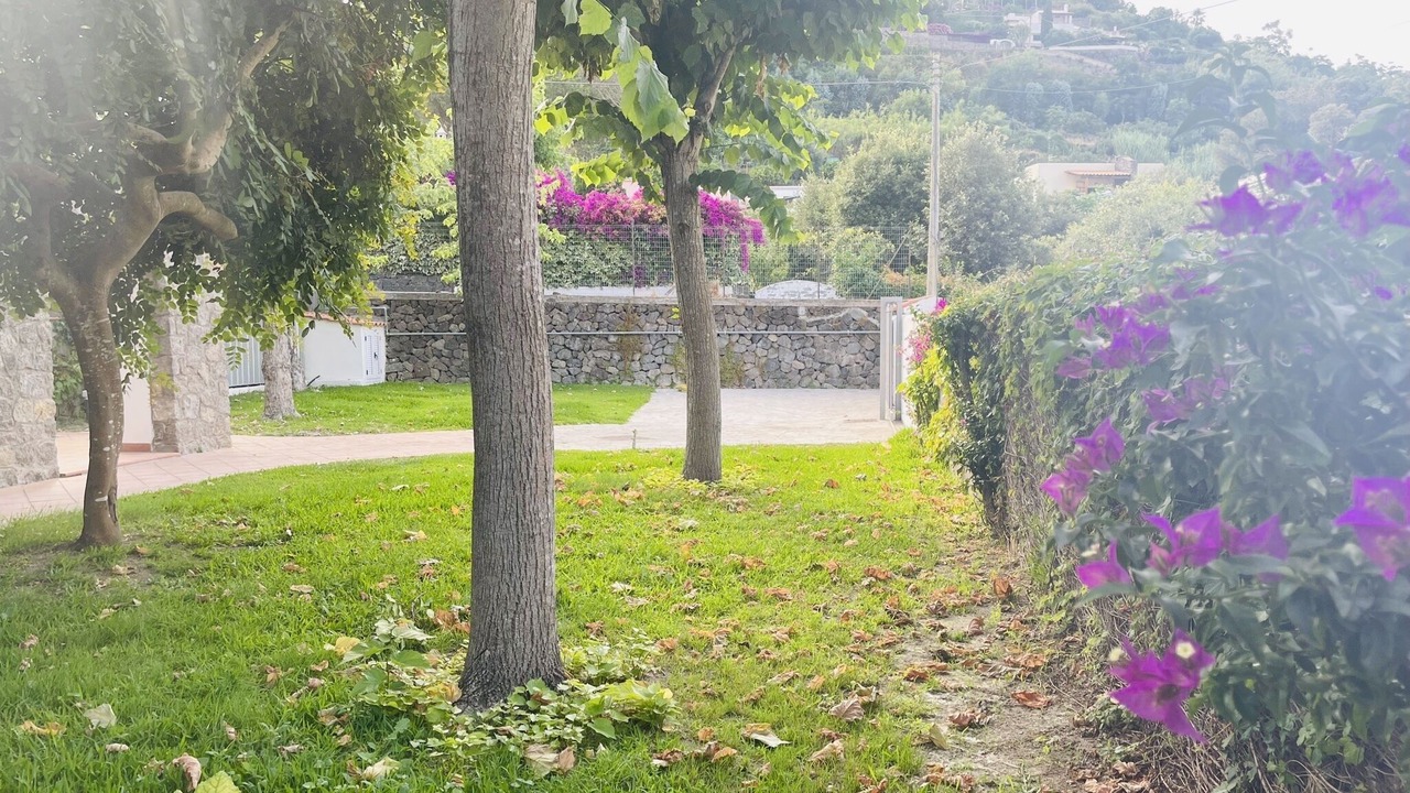 Photo of Outdoor in Ischia Porto