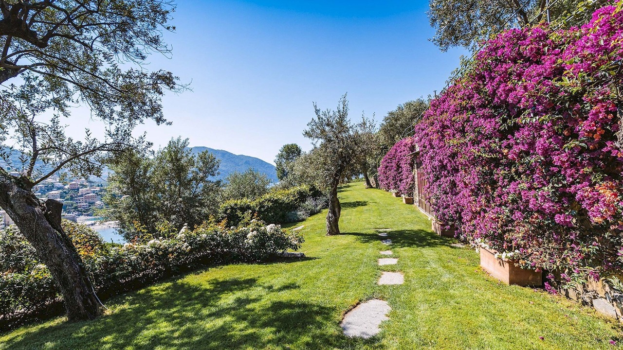 Photo of Outdoor in Recco