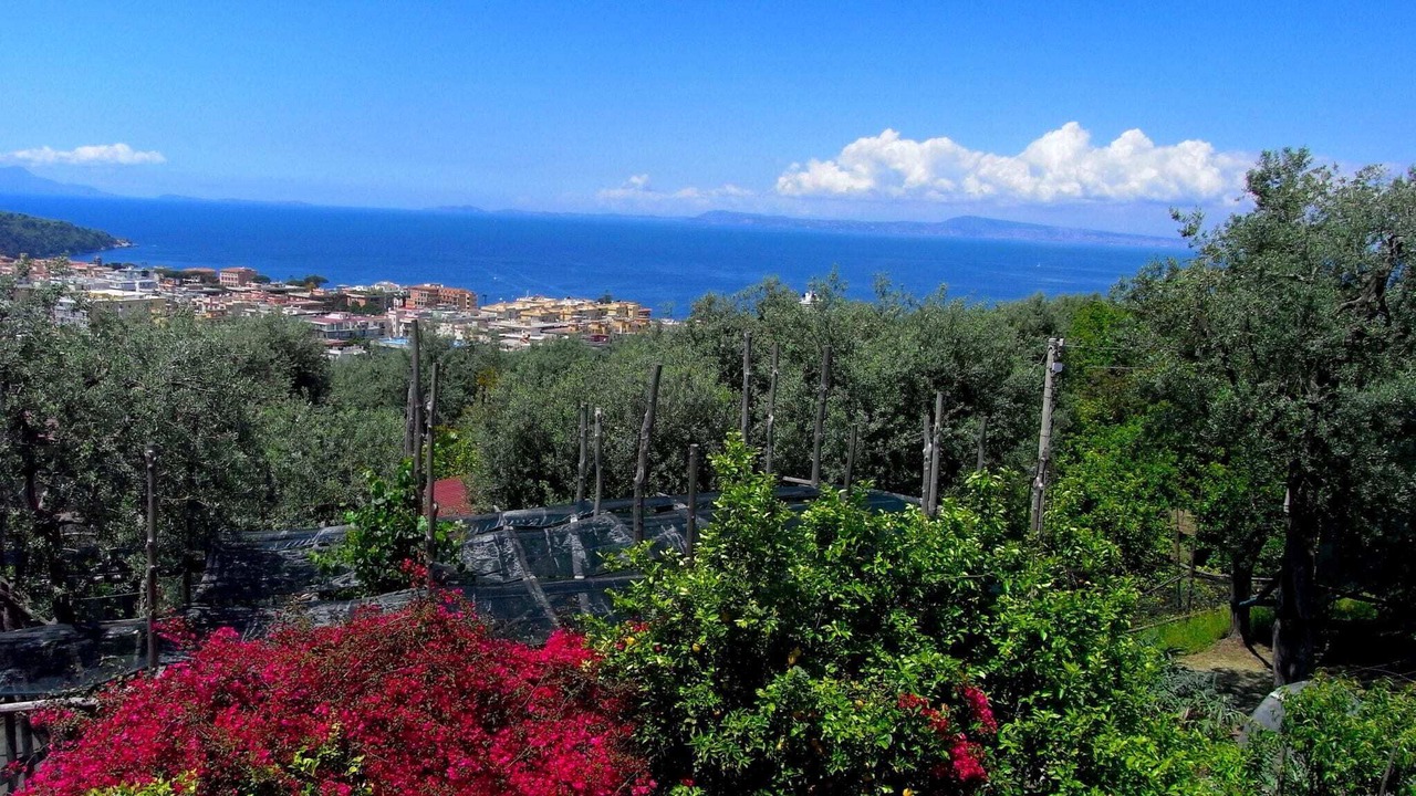 Photo of Others in Sorrento