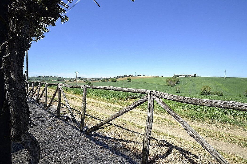 Photo of Others in Castiglione del Lago