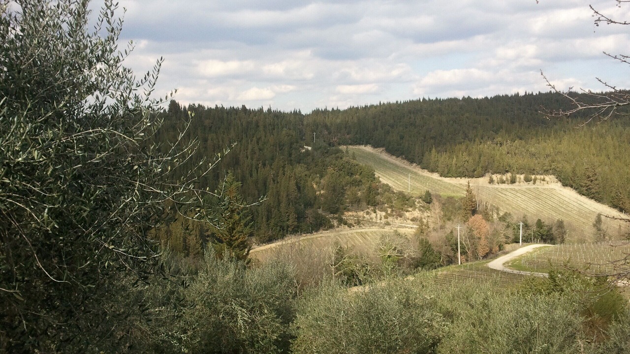 Photo of Outdoor in Castellina in Chianti