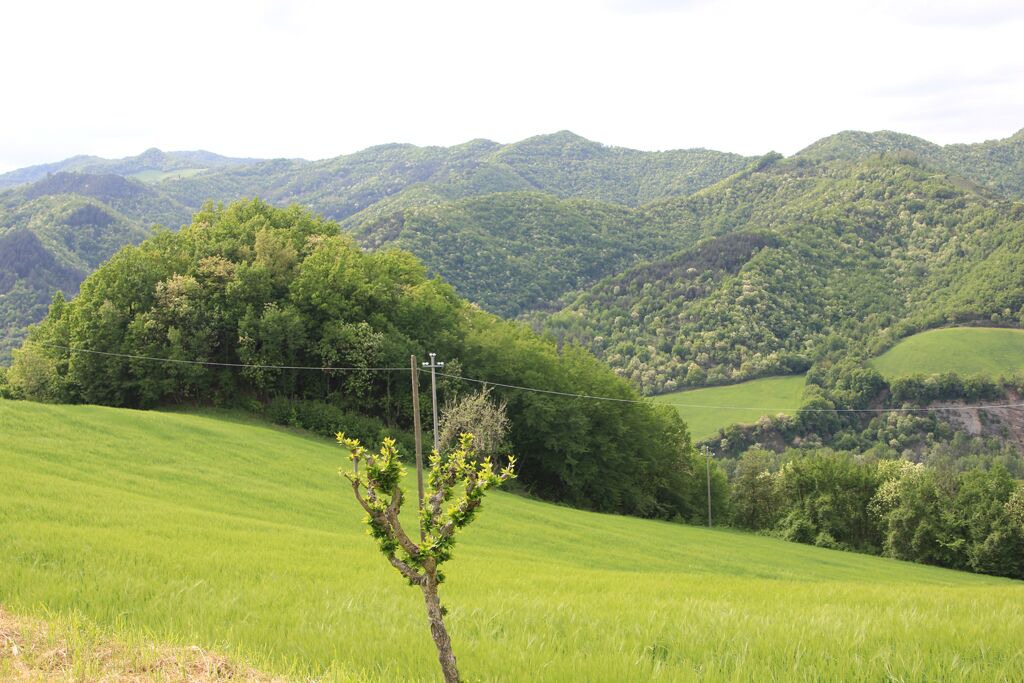 Photo of Others in Civitella di Romagna