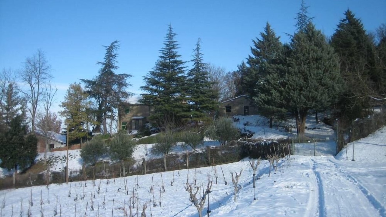 Photo of Outdoor in Civitella di Romagna