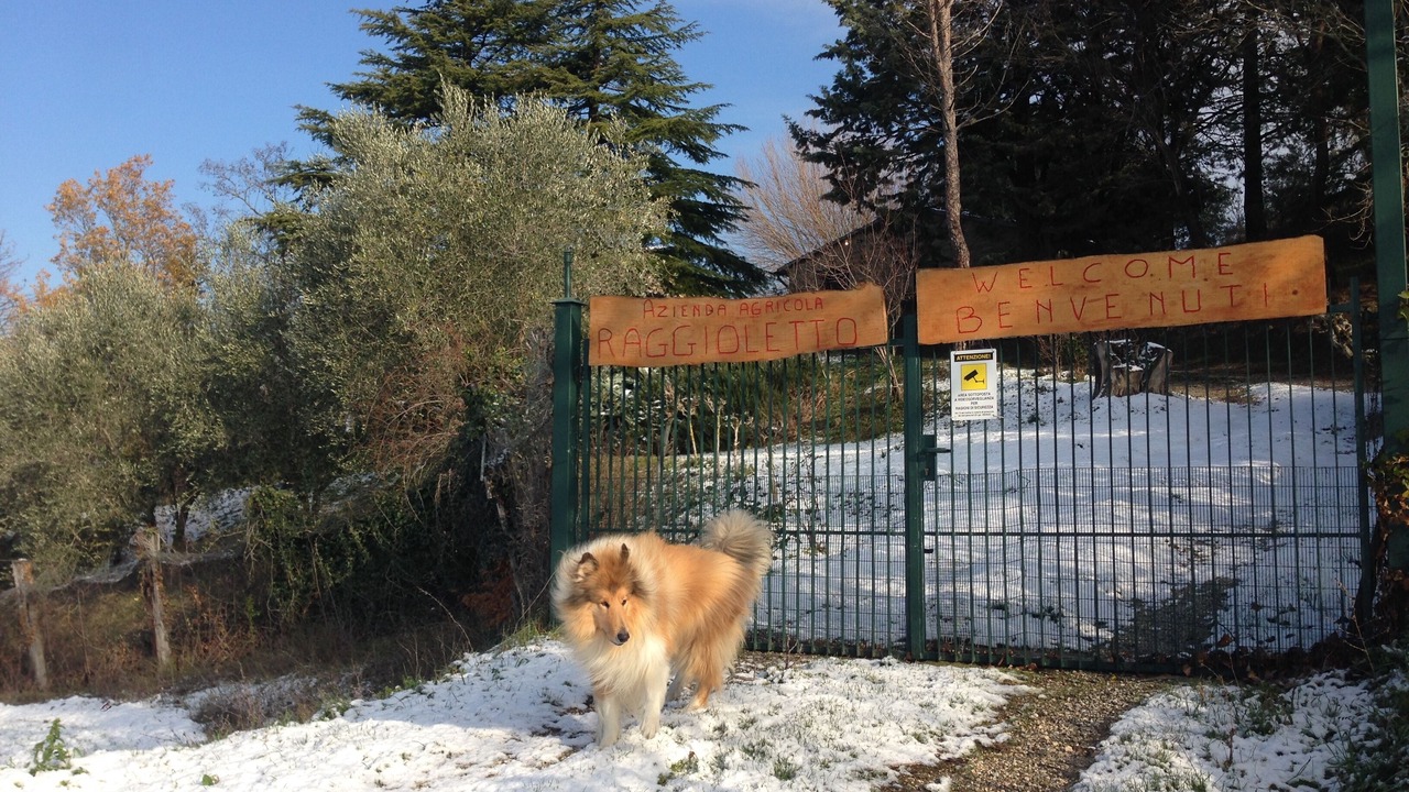 Photo of Outdoor in Civitella di Romagna