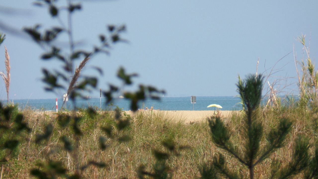 Photo of Others in Bibione Lido dei Pini