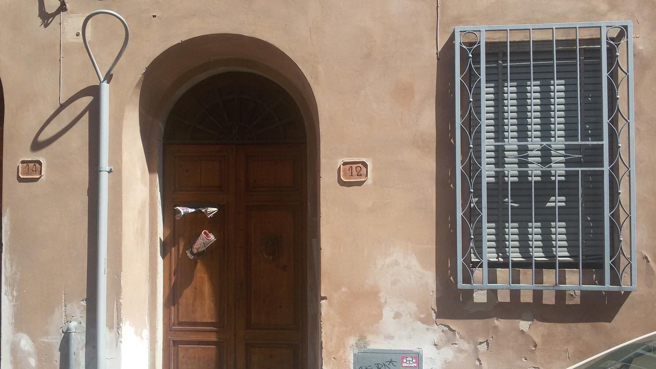 Photo of Outdoor in Pisa City Centre