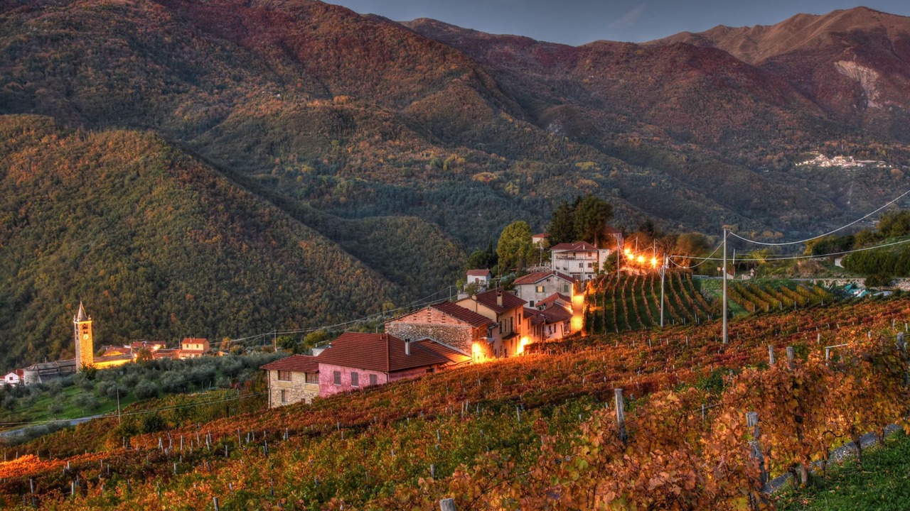 Photo of Outdoor in Alassio