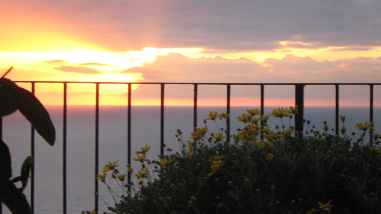 Photo of Others in Riomaggiore