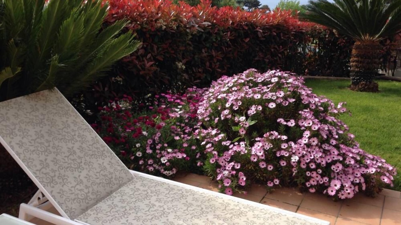 Photo of Outdoor in Bordighera