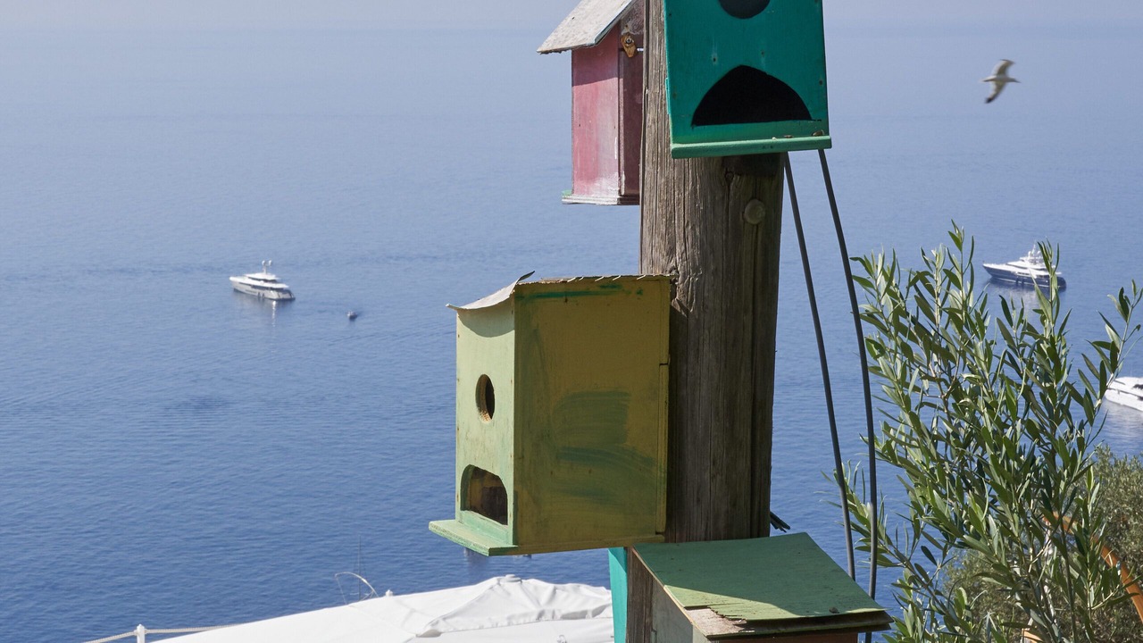 Photo of Outdoor in Marina Piccola