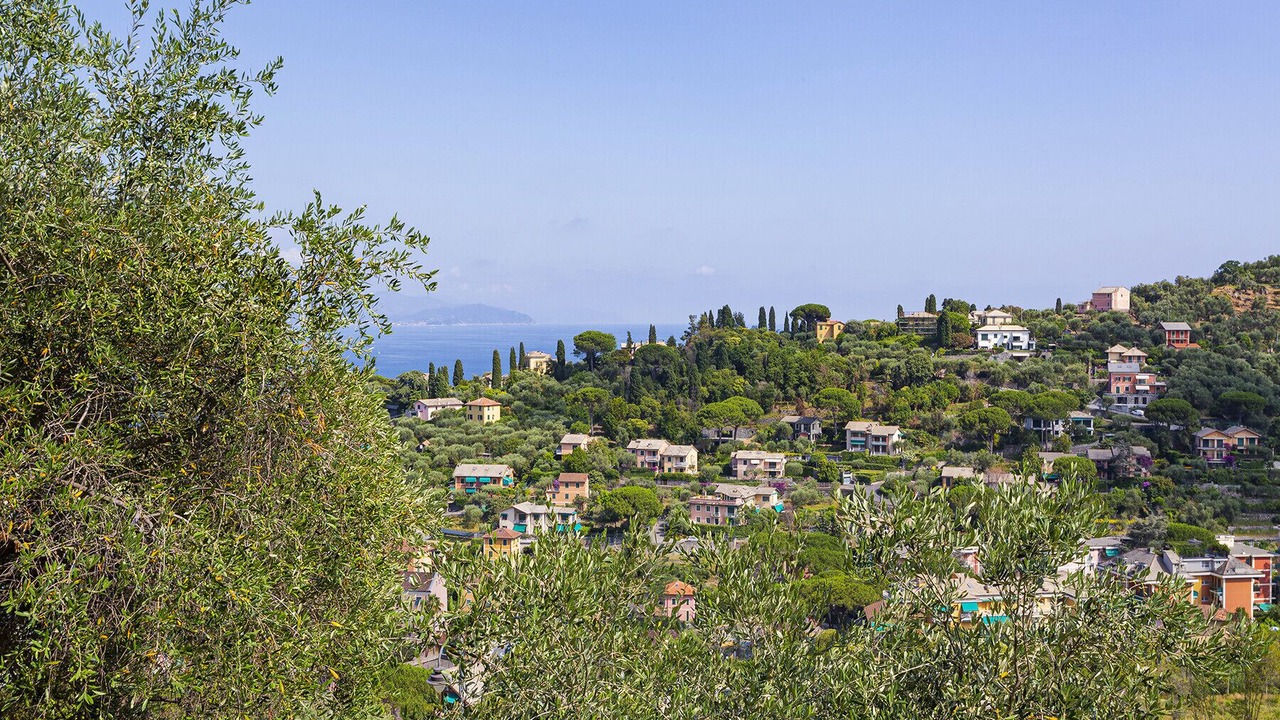 Photo of Others in Santa Margherita Ligure