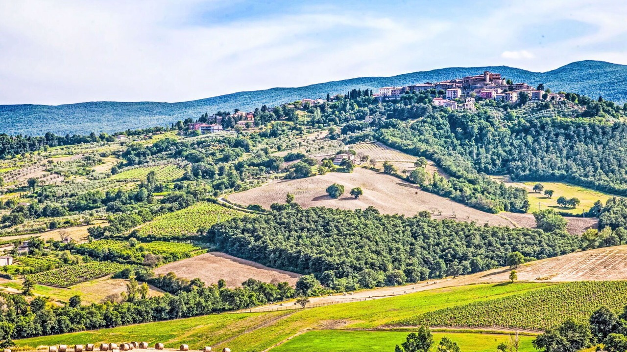 Photo of Others in Allerona