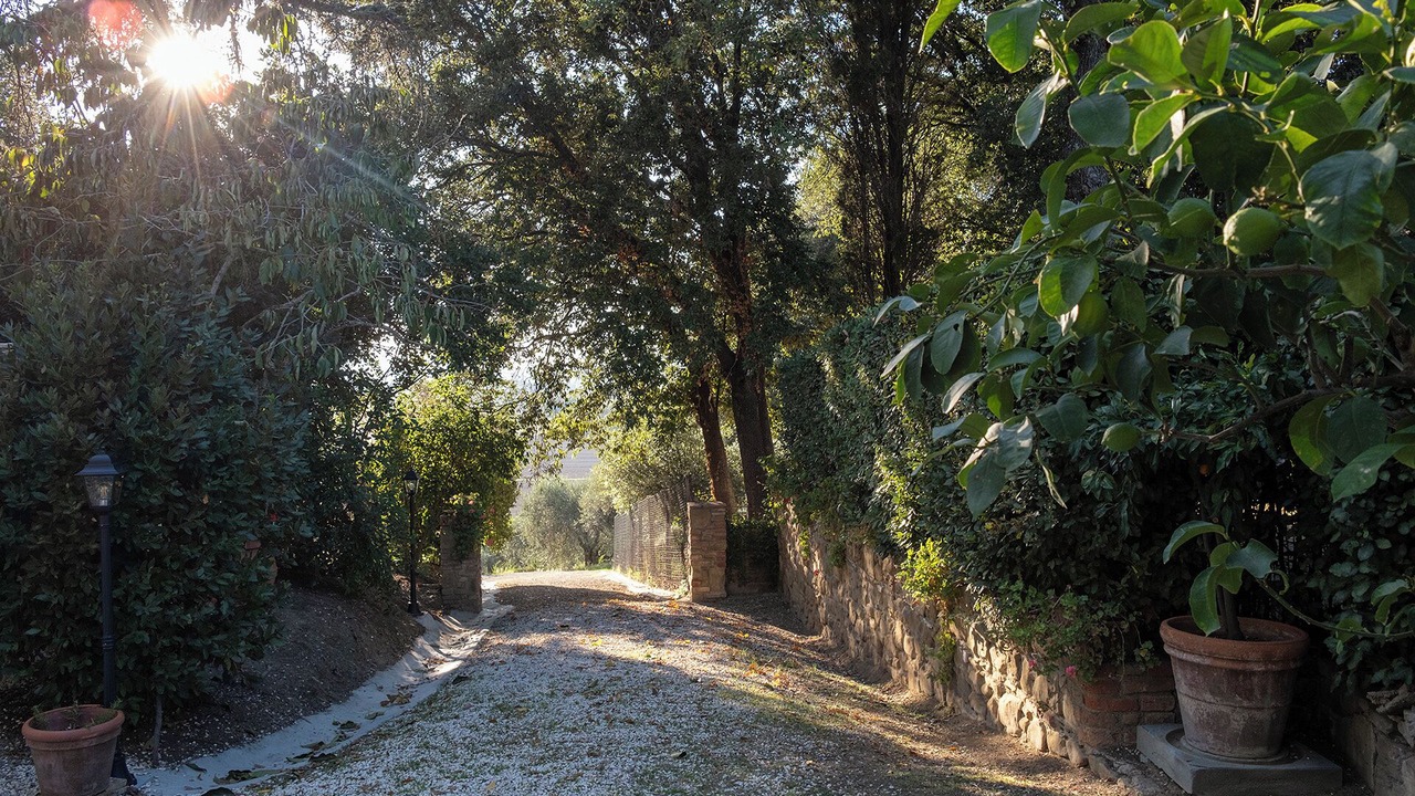 Photo of Outdoor in Panicale