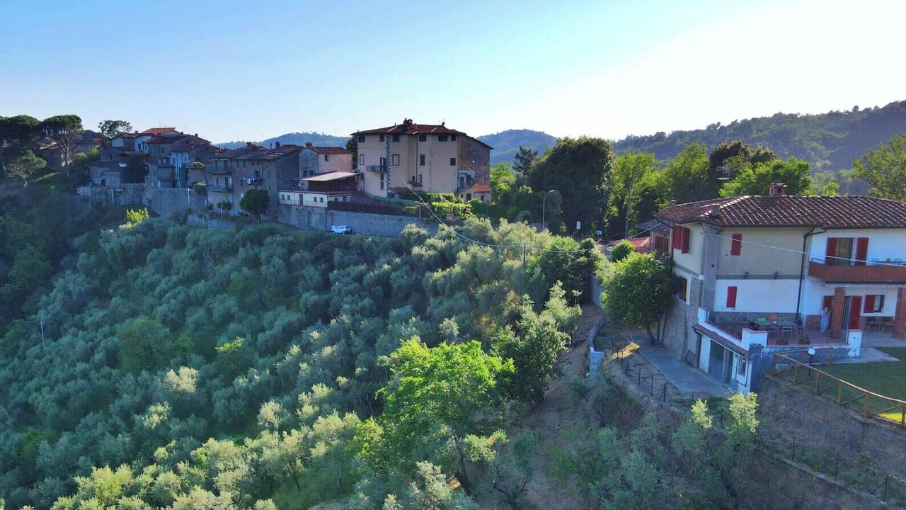 Photo of Others in Massa e Cozzile