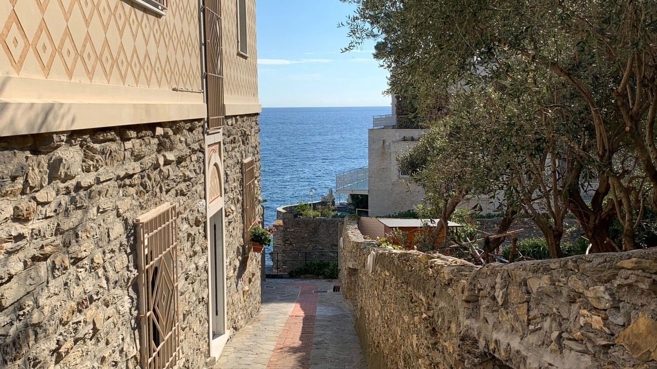 Photo of Others in Pieve Ligure