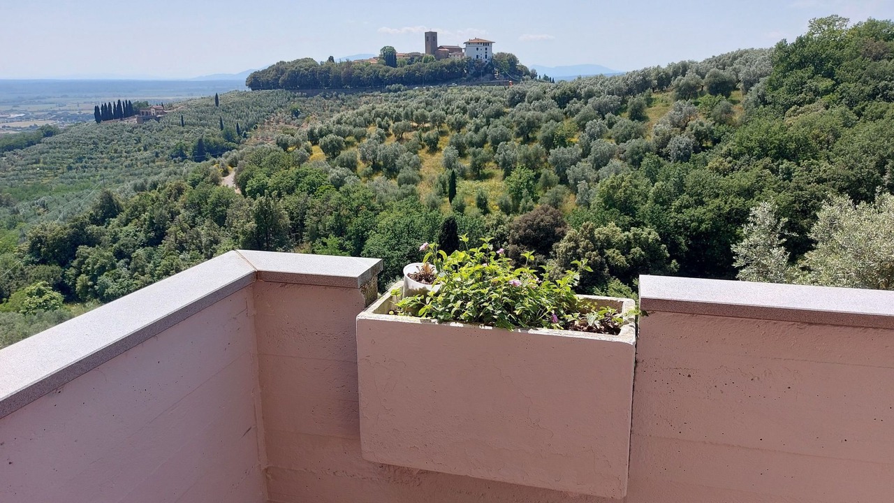 Photo of Others in Monsummano Terme