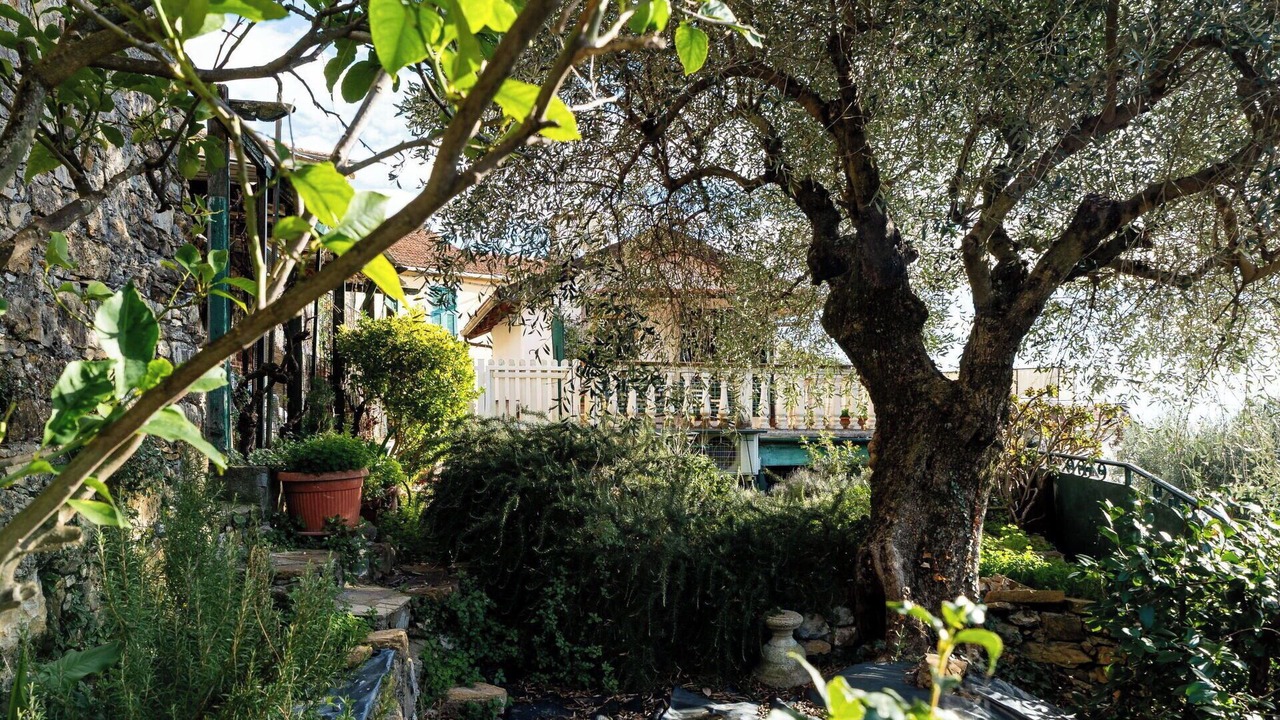 Photo of Outdoor in Borganzo