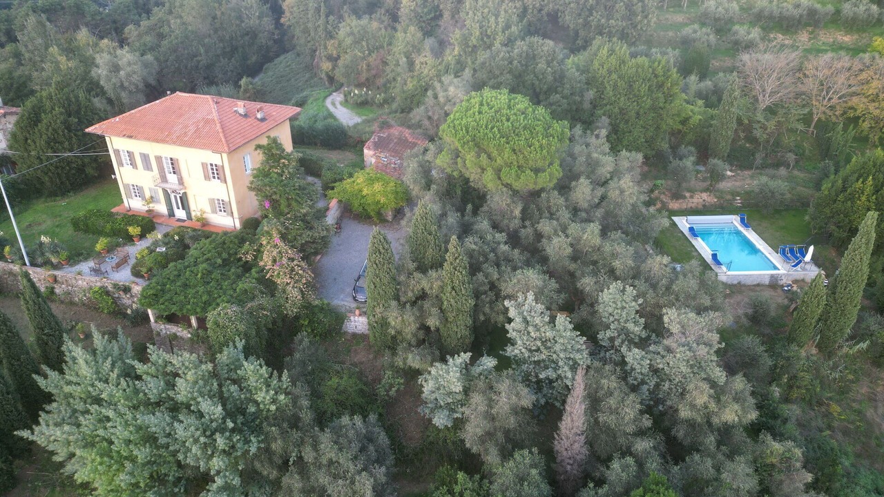 Photo of Others in Massarosa