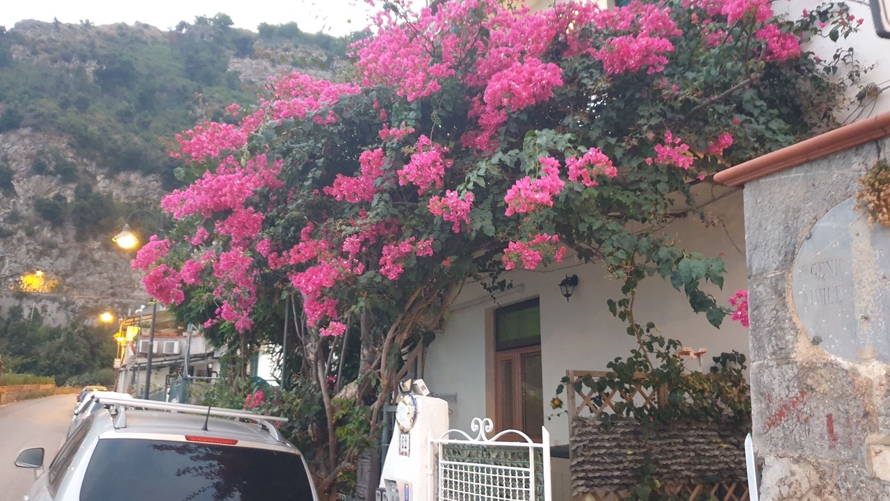 Photo of Outdoor in Pogerola