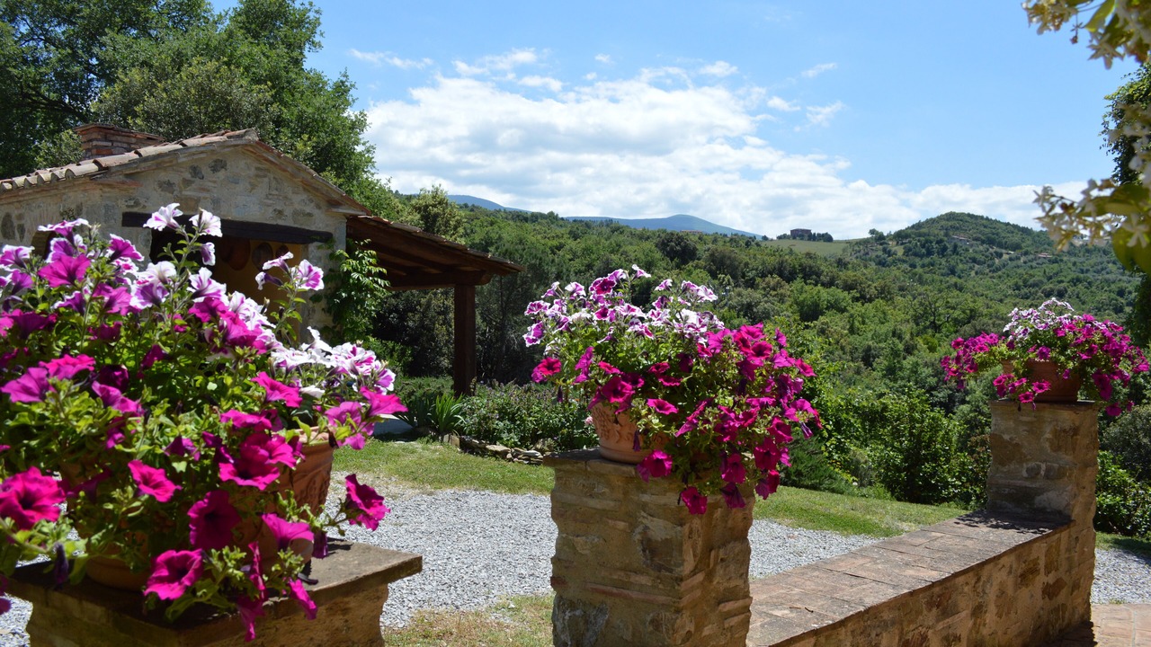 Photo of Outdoor in Seggiano