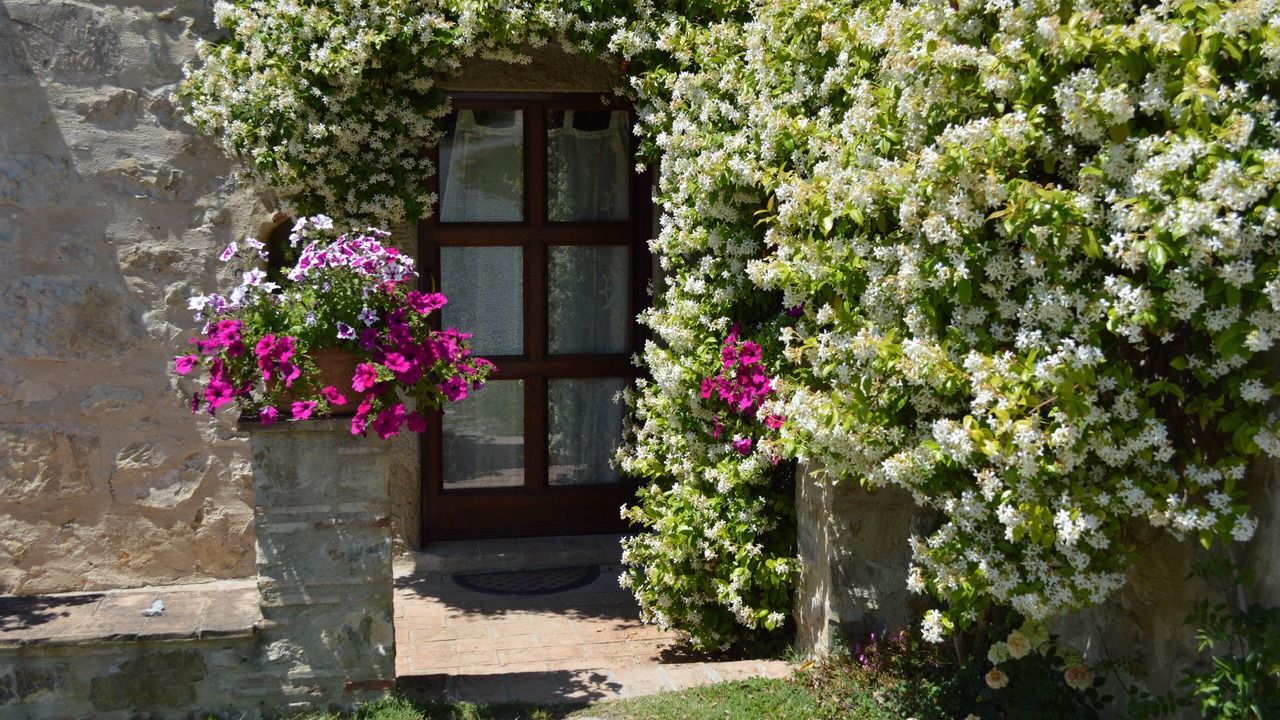 Photo of Outdoor in Seggiano